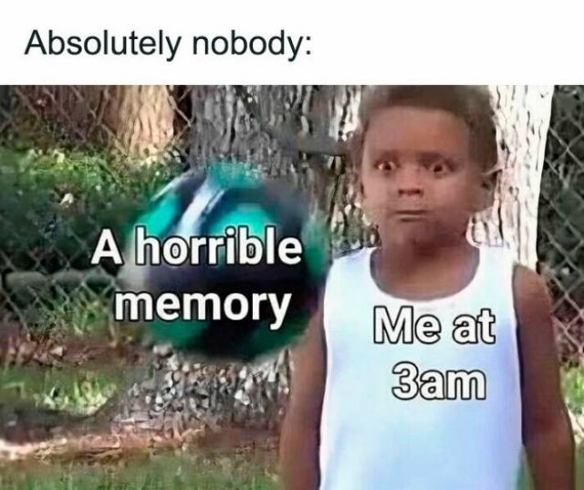 Random Memes (24 pics)