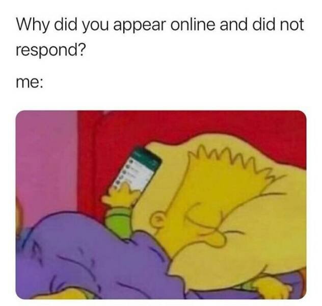Random Memes (24 pics)