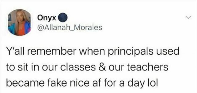Random Memes (24 pics)