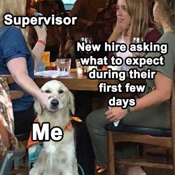 Work Memes (15 pics)