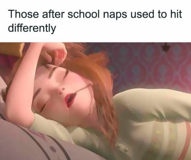 Random Memes (24 pics)
