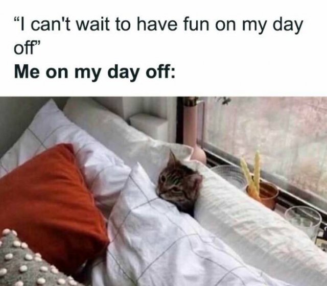 Work Memes (15 pics)