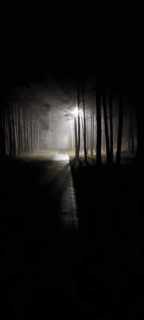 Creepy Photos (21 pics)