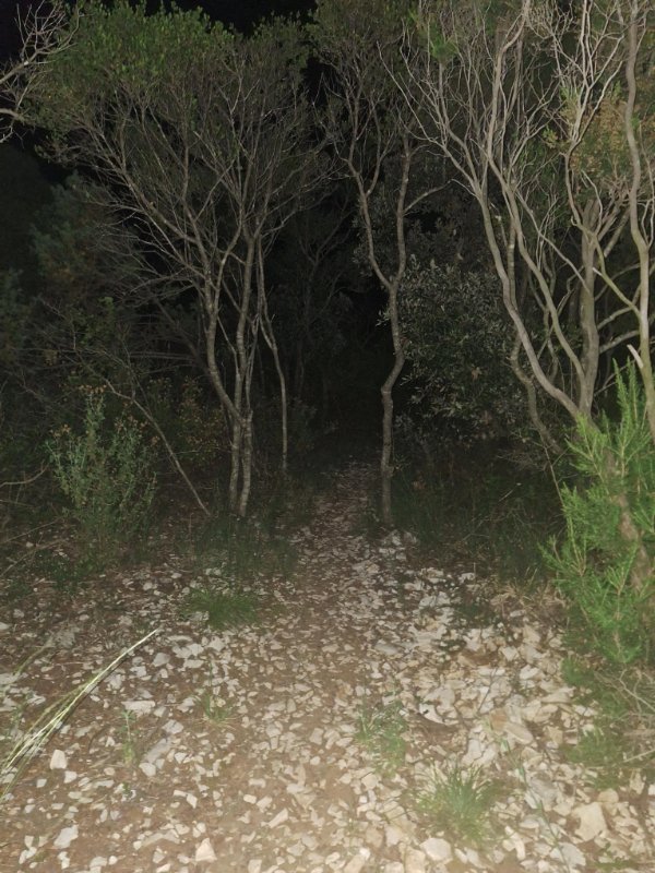 Creepy Photos (21 pics)