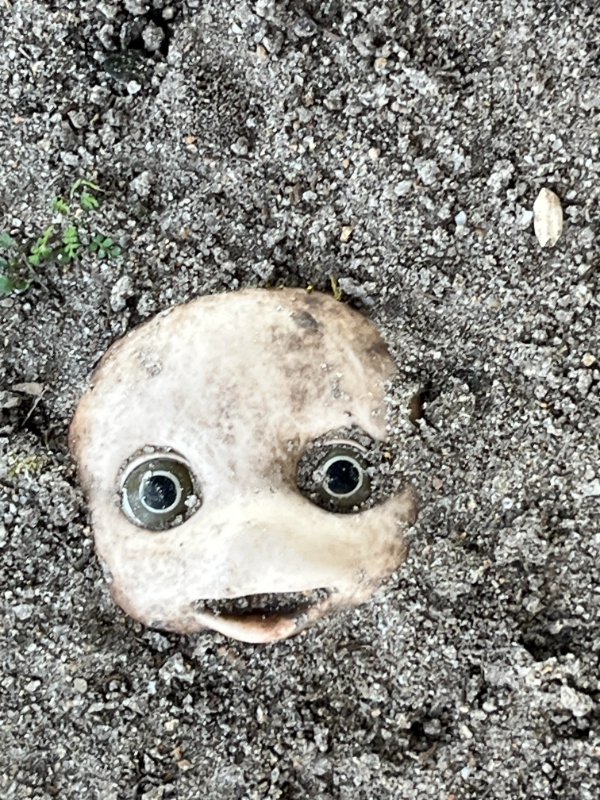 Creepy Photos (21 pics)