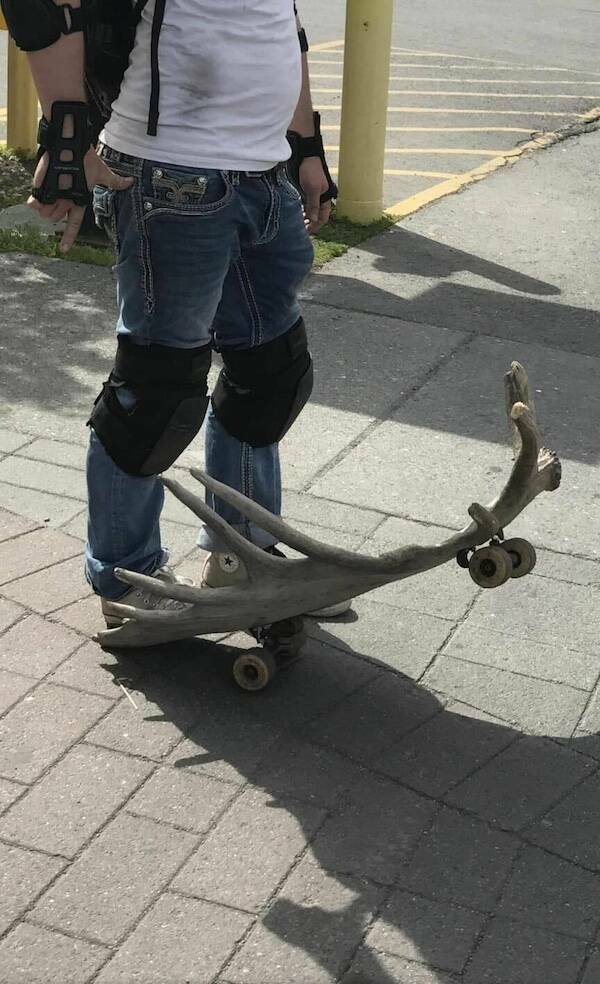 Redneck Inventions (16 pics)