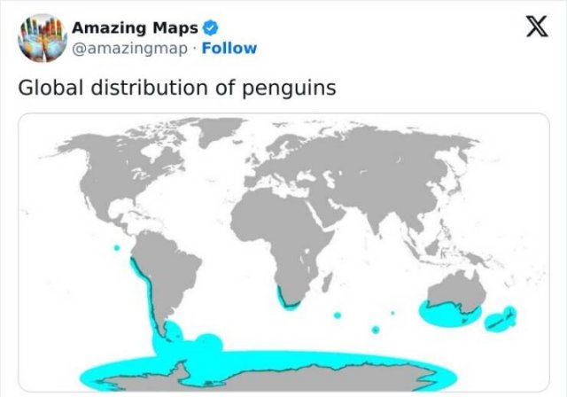 Fascinating Maps (25 pics)