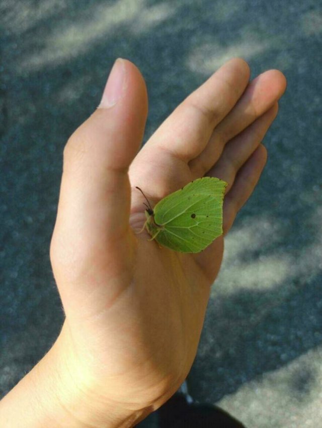 Interesting Optical Illusions (24 pics)