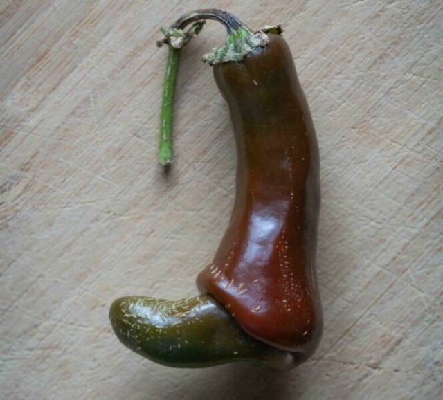 Interesting Optical Illusions (24 pics)