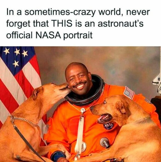Science Memes (24 pics)