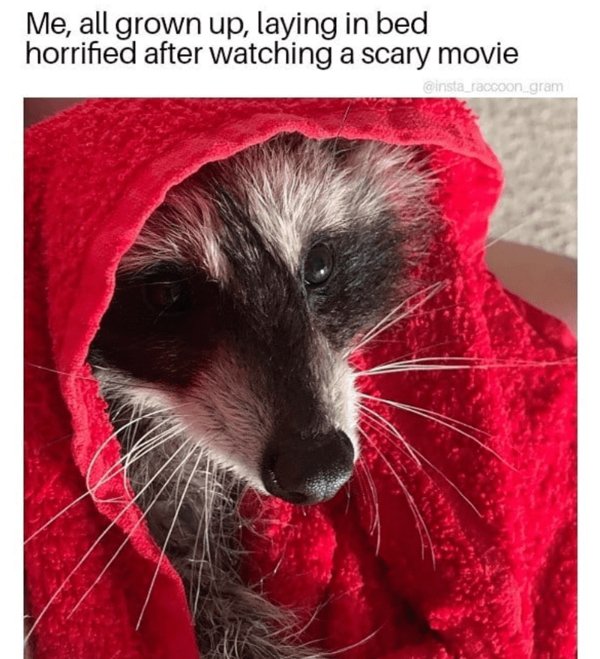 Memes For Horror Movie Fans (34 pics)