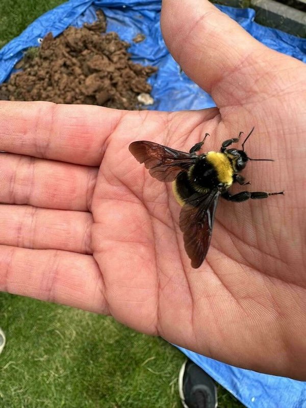 Really Giant Things (36 pics)