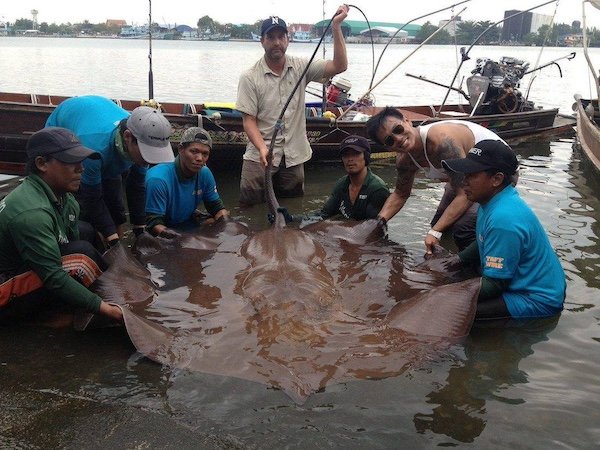 Really Giant Things (36 pics)