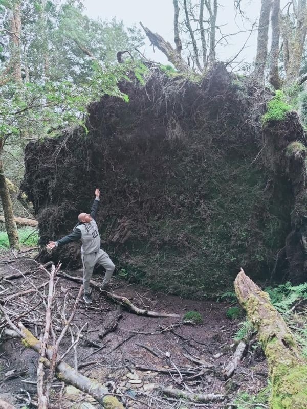 Really Giant Things (36 pics)