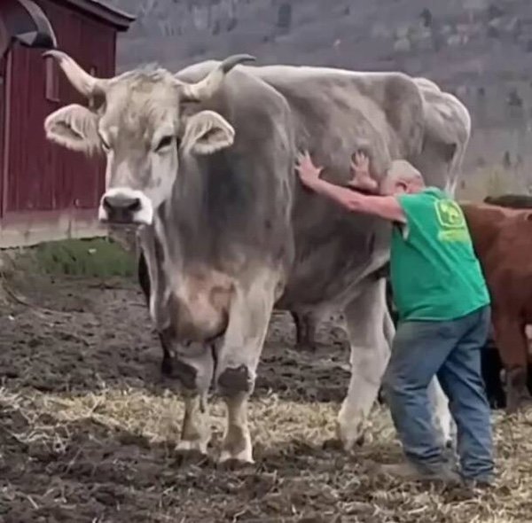 Really Giant Things (36 pics)