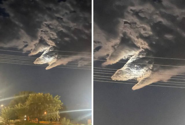This Is Pareidolia (24 pics)