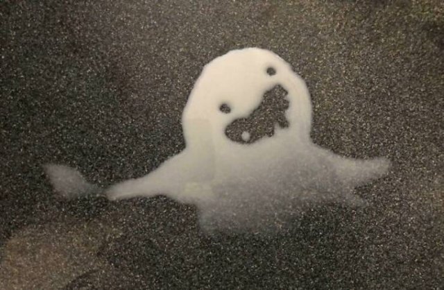 This Is Pareidolia (24 pics)