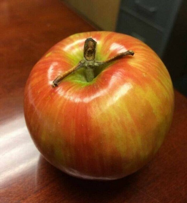 This Is Pareidolia (24 pics)