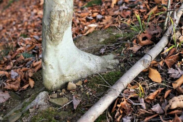 This Is Pareidolia (24 pics)