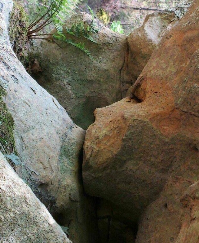 This Is Pareidolia (24 pics)