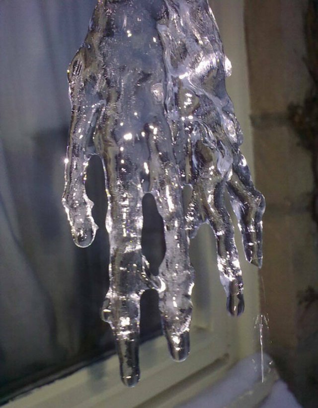This Is Pareidolia (24 pics)