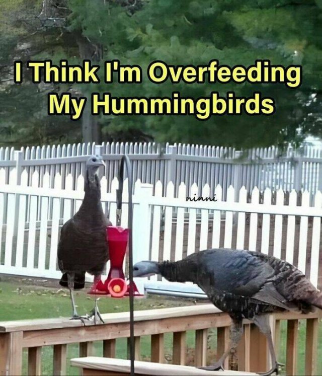 Memes About Country Life (25 pics)