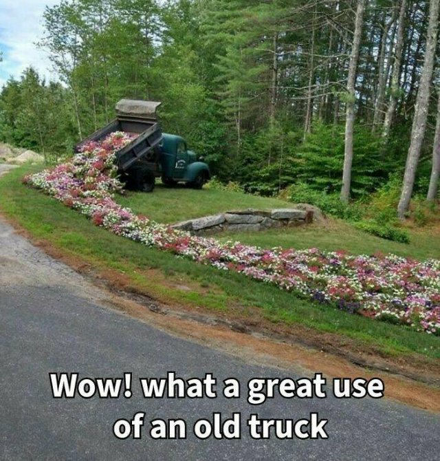 Memes About Country Life (25 pics)