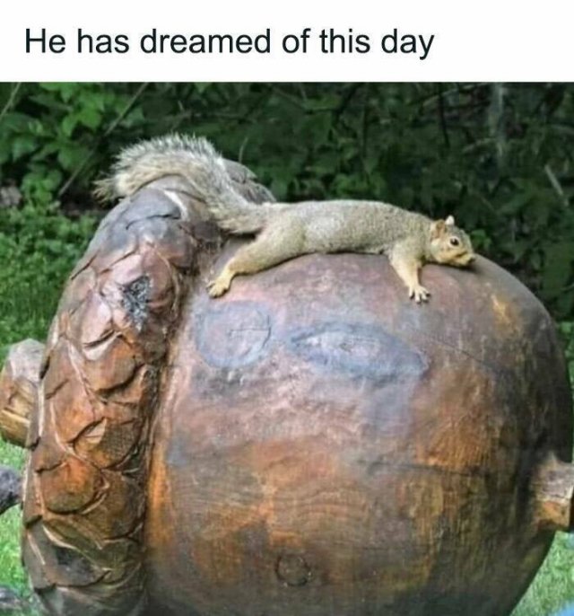 Memes About Country Life (25 pics)