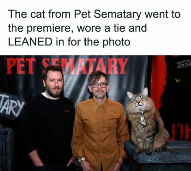 Jokes For Animal Lovers (25 pics)
