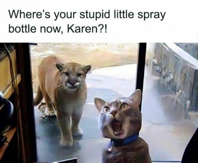 Memes About Country Life (25 pics)