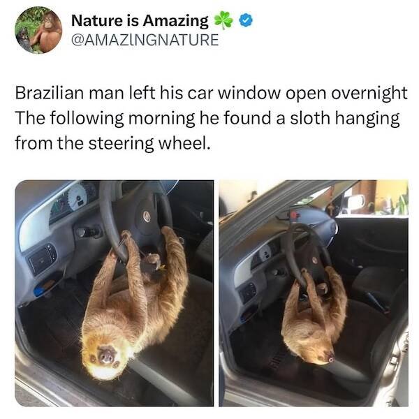 Kind Jokes (22 pics)