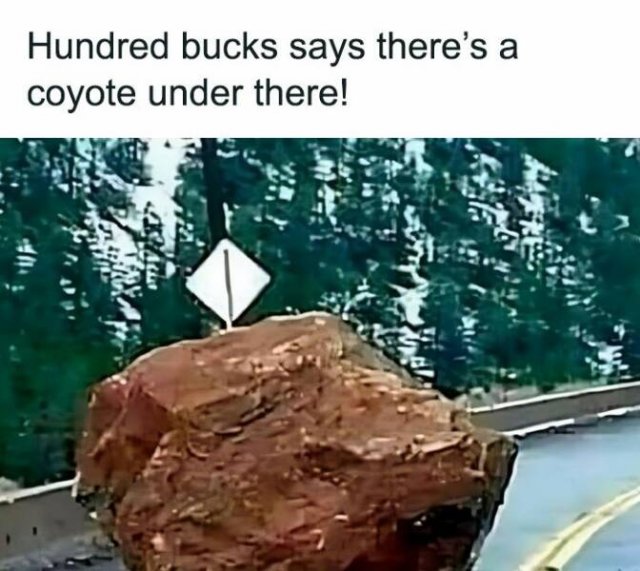 Memes About Country Life (25 pics)