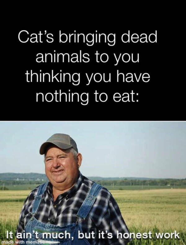 Funny Memes (17 pics)