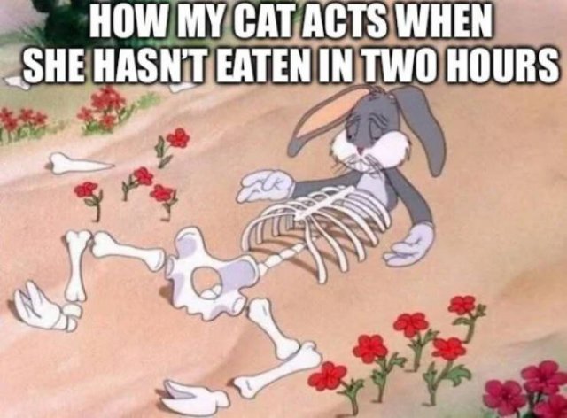 Funny Memes (17 pics)