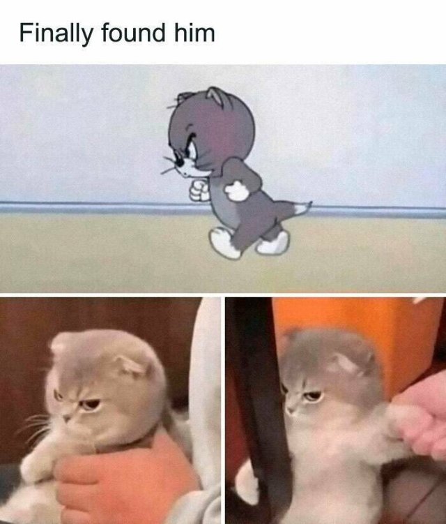 Jokes For Animal Lovers (25 pics)
