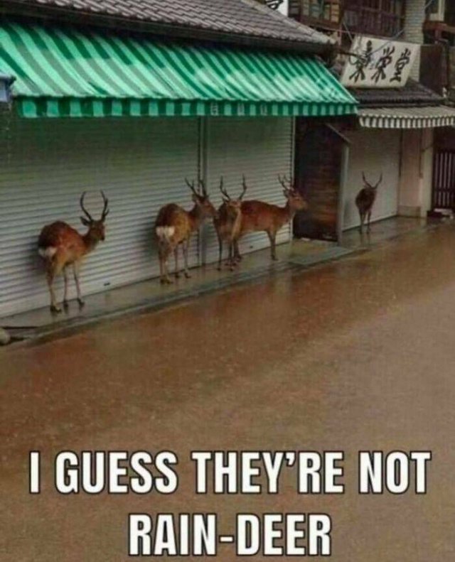Memes About Country Life (25 pics)
