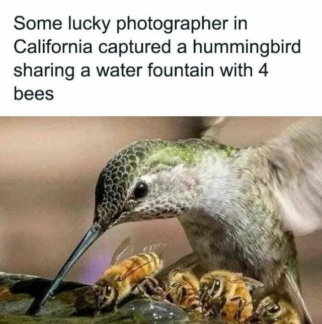 Memes About Country Life (25 pics)
