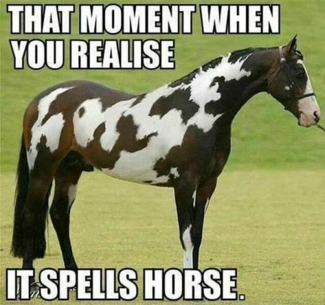 Memes About Country Life (25 pics)