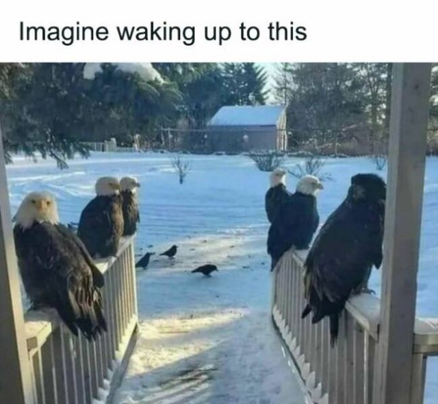 Memes About Country Life (25 pics)