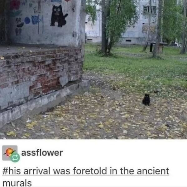 Kind Jokes (22 pics)