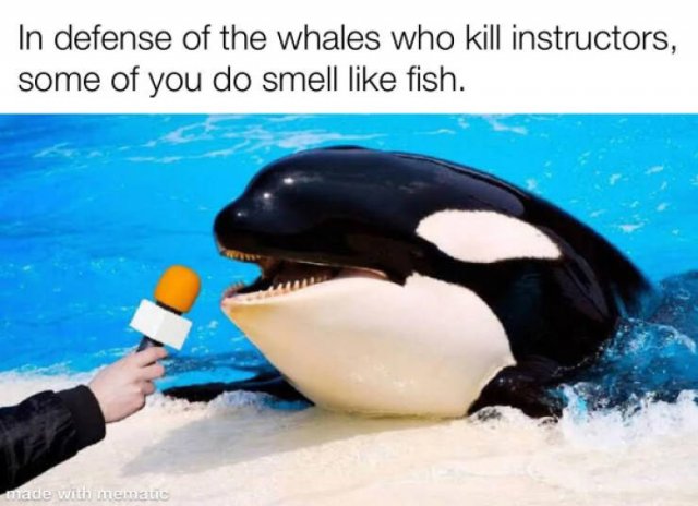 Funny Memes (17 pics)