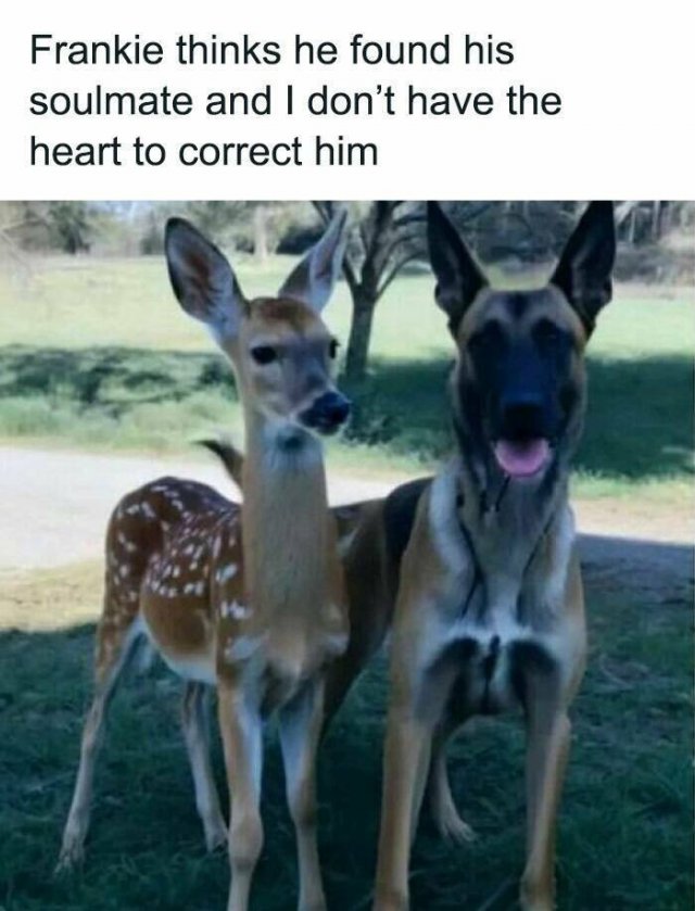 Memes About Country Life (25 pics)