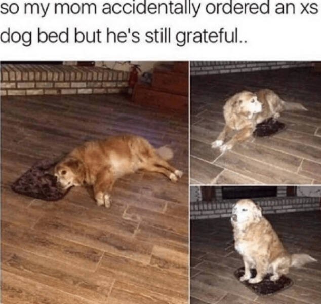 Kind Jokes (22 pics)