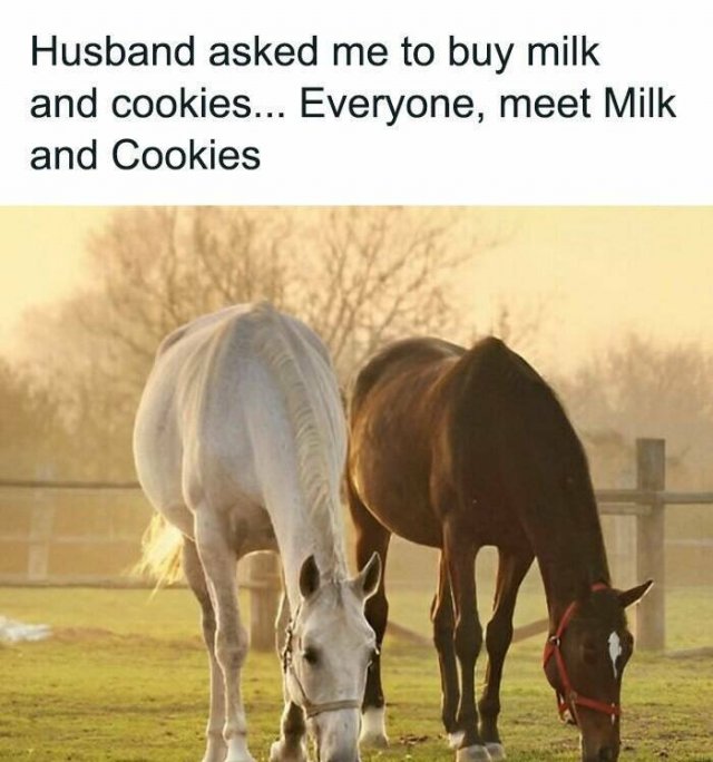 Memes About Country Life (25 pics)