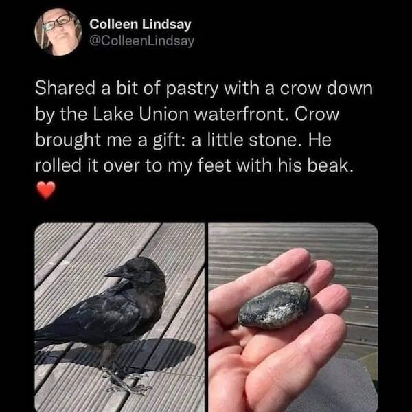 Kind Jokes (22 pics)