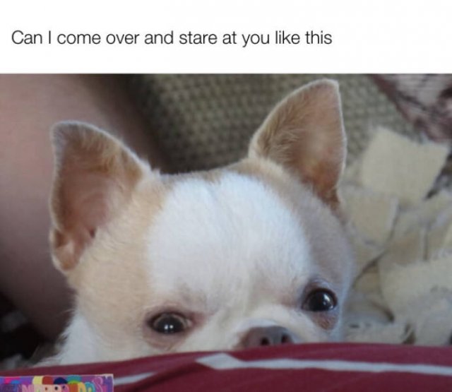 Funny Memes (17 pics)