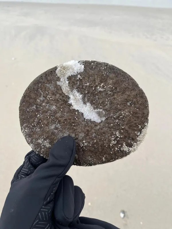 What Are These Things? (17 pics)
