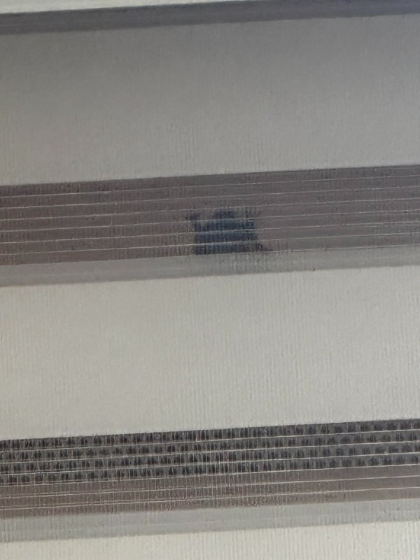 Bad Days Happen (24 pics)