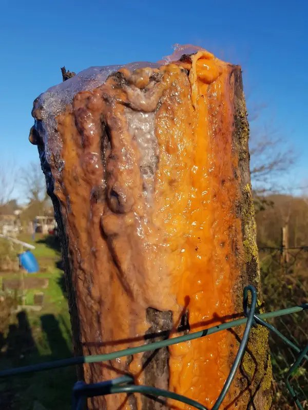 What Are These Things? (17 pics)