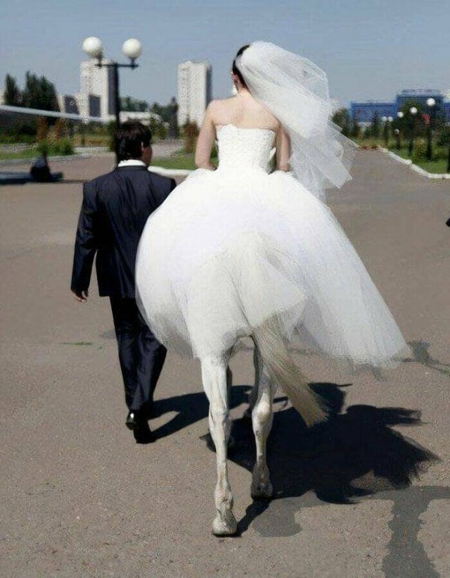 Look Twice (21 pics)